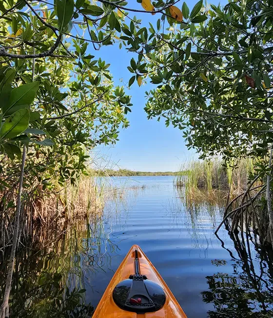 kayak on the water